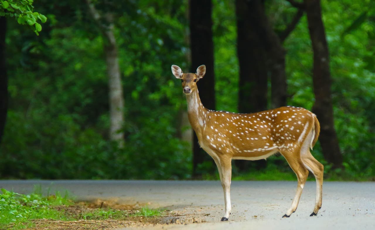 Nagpur, India