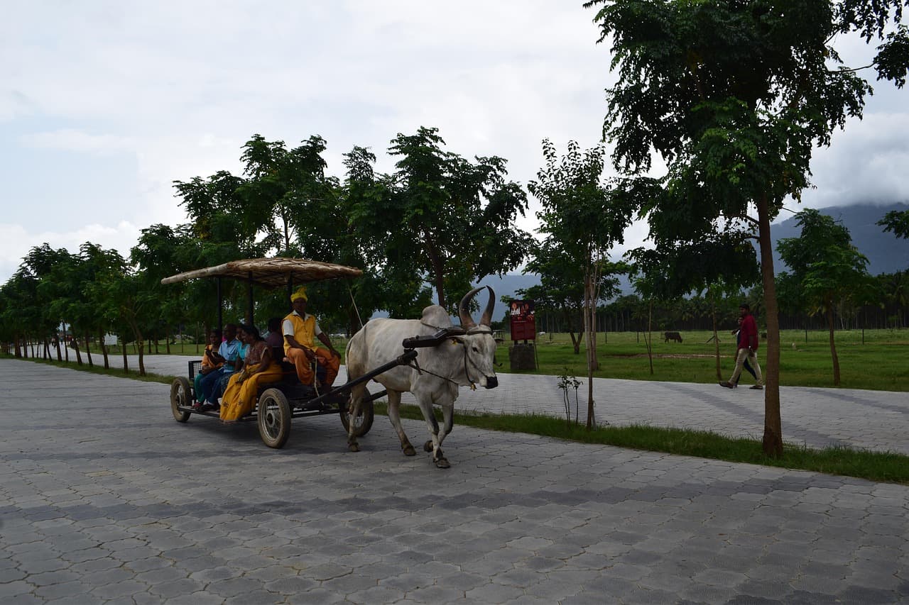 Coimbatore, India